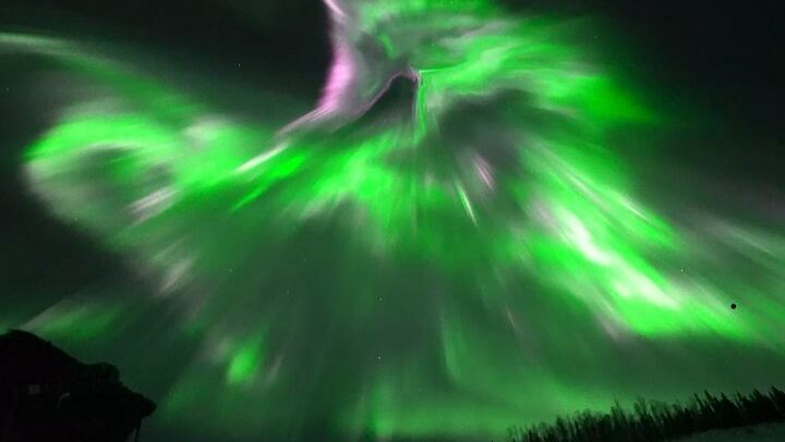 Gemeinsamer Tagesausflug zum Polarkreis mit Nordlichtbeobachtung in Alaska (1/9)