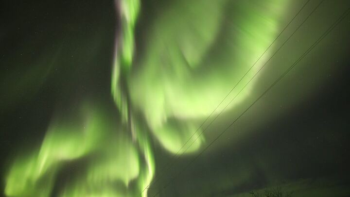 Gemeinsamer Tagesausflug zum Polarkreis mit Nordlichtbeobachtung in Alaska (3/9)