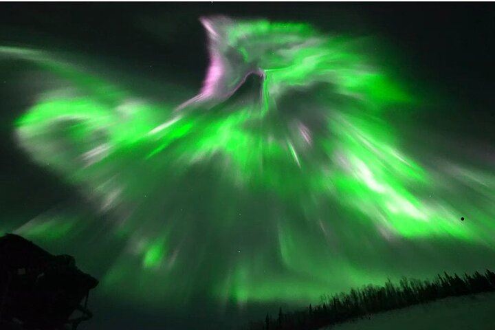 Gemeinsamer Tagesausflug zum Polarkreis mit Nordlichtbeobachtung in Alaska (1/9)