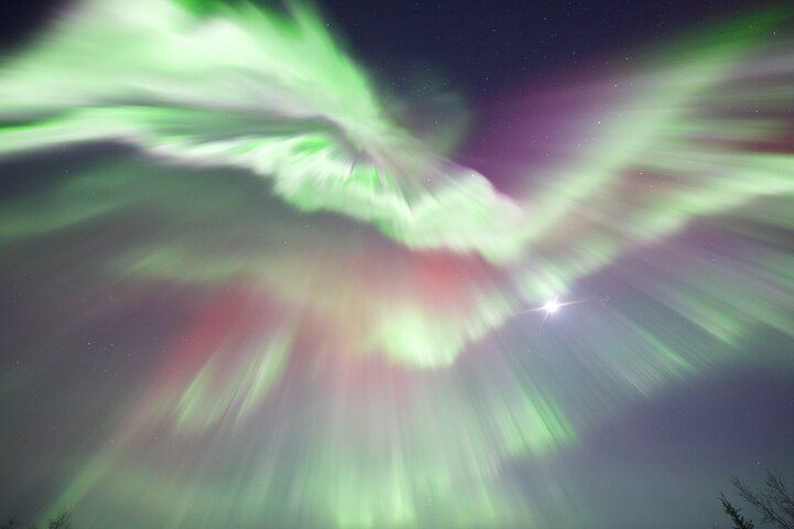 Gemeinsamer Tagesausflug zum Polarkreis mit Nordlichtbeobachtung in Alaska (2/9)