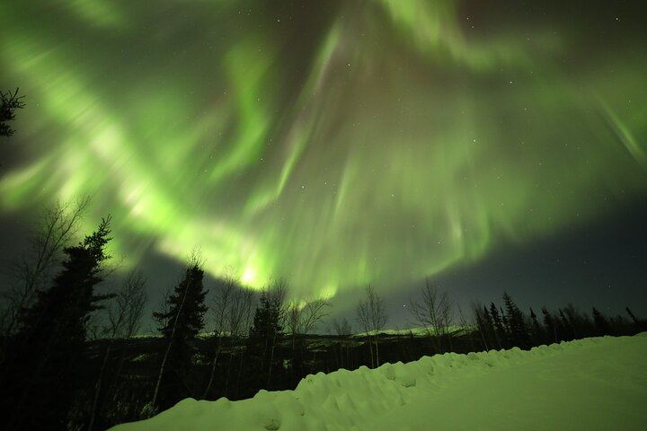 Gemeinsamer Tagesausflug zum Polarkreis mit Nordlichtbeobachtung in Alaska (7/9)