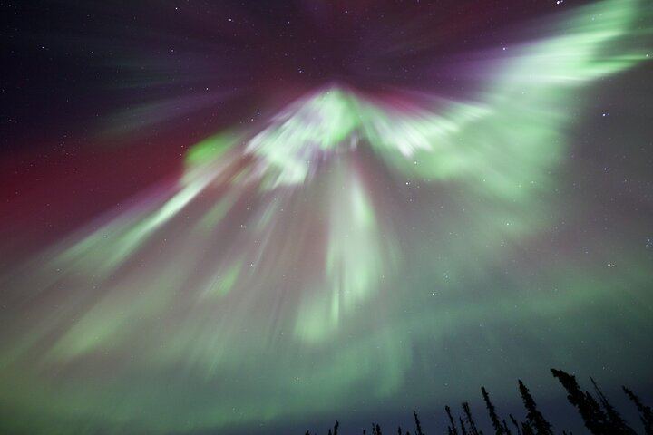Gemeinsamer Tagesausflug zum Polarkreis mit Nordlichtbeobachtung in Alaska (6/9)