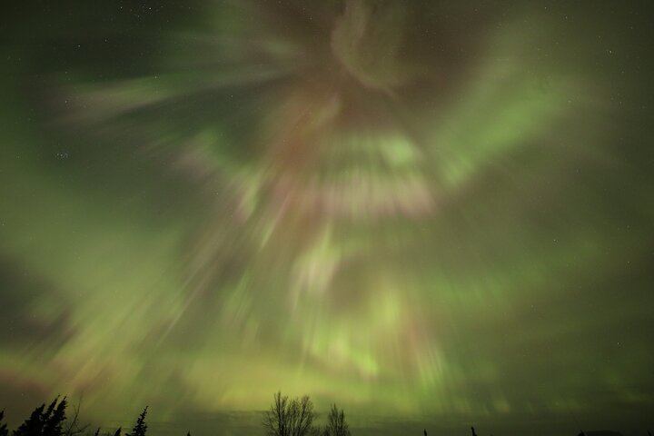 Gemeinsamer Tagesausflug zum Polarkreis mit Nordlichtbeobachtung in Alaska (4/9)