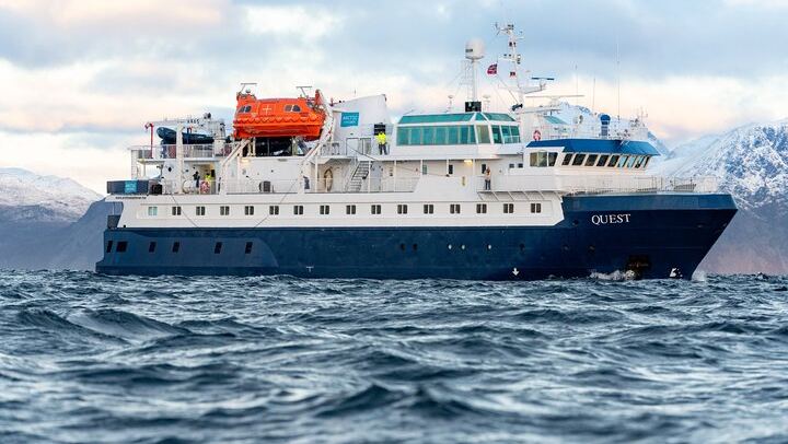 24 Hour Northern Lights and Whale Watching Cruise from Tromso