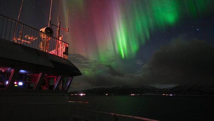 24 Hour Northern Lights and Whale Watching Cruise from Tromso (2/12)