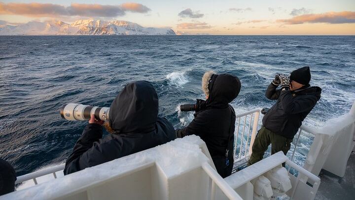 24 Hour Northern Lights and Whale Watching Cruise from Tromso (1/12)