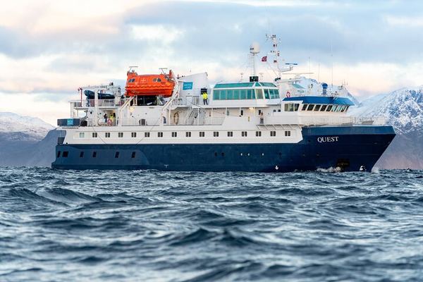 24 Hour Northern Lights and Whale Watching Cruise from Tromso