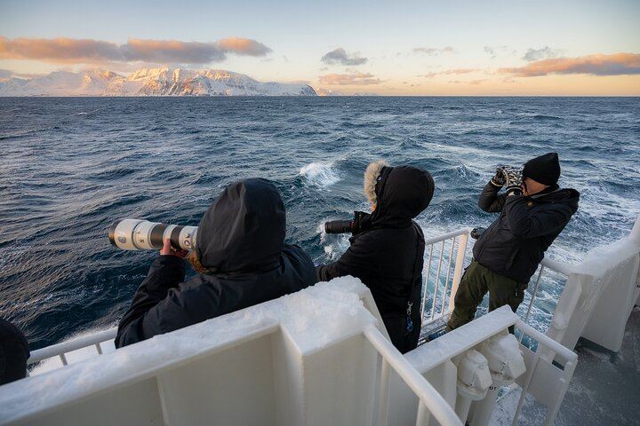 24 Hour Northern Lights and Whale Watching Cruise from Tromso (1/12)
