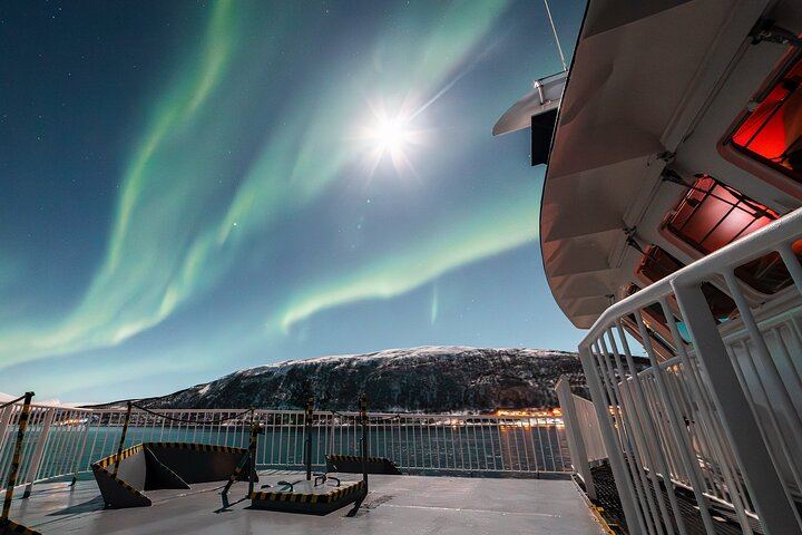 24 Hour Northern Lights and Whale Watching Cruise from Tromso (5/12)