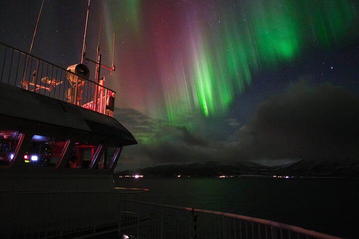24 Hour Northern Lights and Whale Watching Cruise from Tromso (2/12)