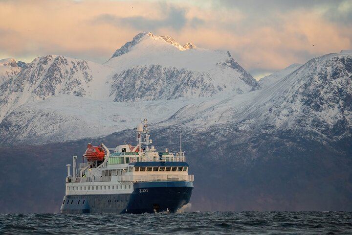 24 Hour Northern Lights and Whale Watching Cruise from Tromso (9/12)