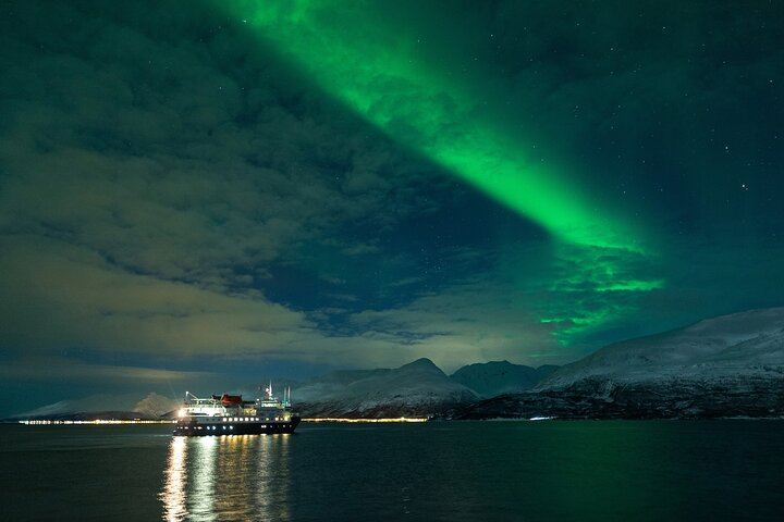 24 Hour Northern Lights and Whale Watching Cruise from Tromso (6/12)