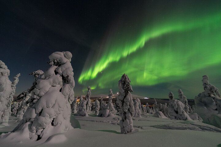 Three Hour Evening Snowmobile Safari from Levi with Bonfire (8/8)