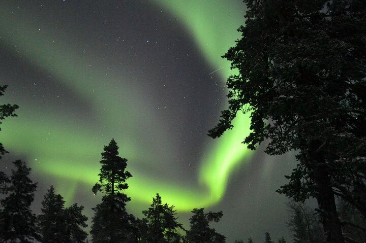 Three Hour Snowmobile Safari in Search of the Northern Lights, Levi (7/7)
