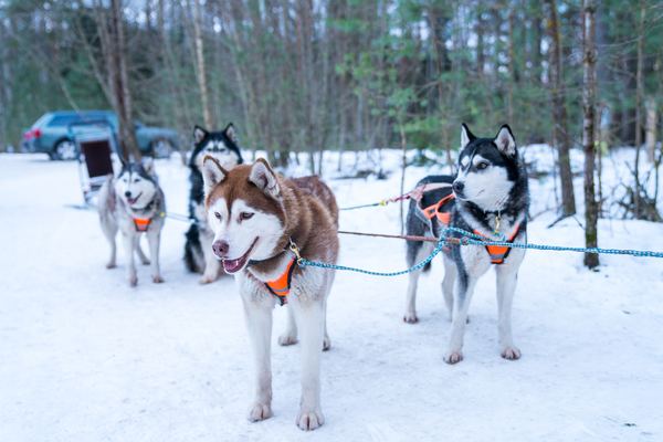 Rovaniemi