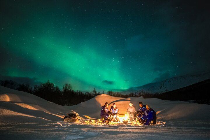Northern Lights Safari from Tromso, 8 Guests, Hotel Pickup and Thermal Suits (1/12)
