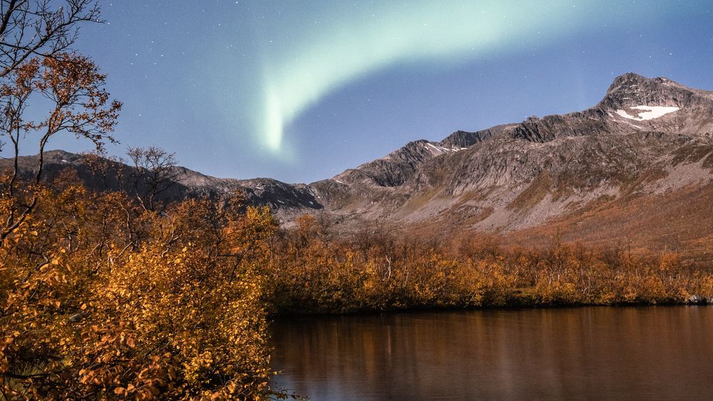 A bright green aurora filling the sky directly overhead above a snow-covered landscape