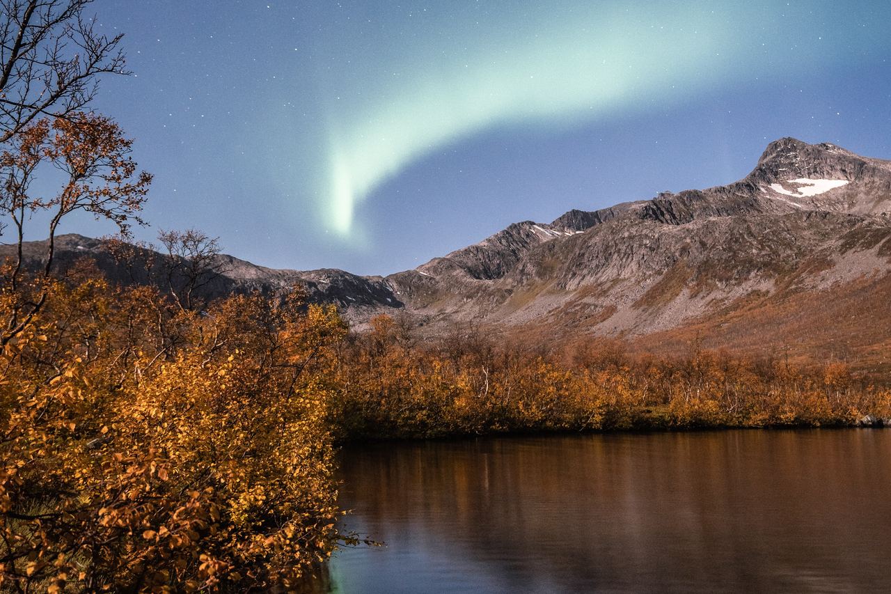 Bands of green aurora filling the sky directly overhead on a clear Arctic night