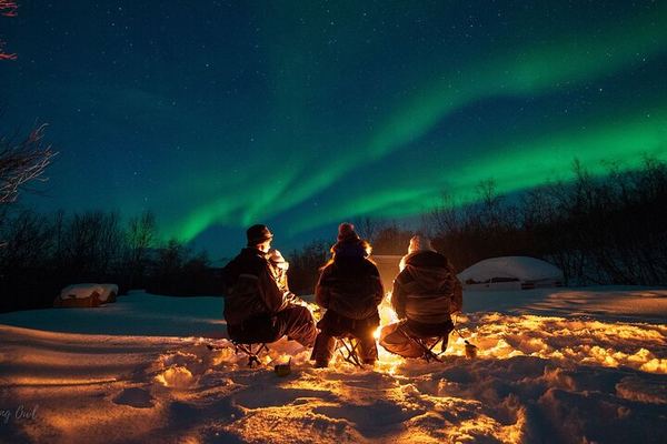 Adults Only Aurora Hunt from Tromso with Wandering Owl