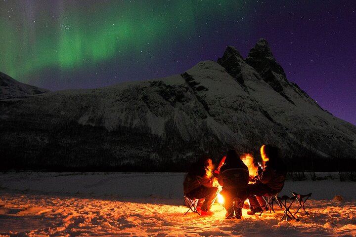 Adults Only Aurora Hunt from Tromso with Wandering Owl (6/6)