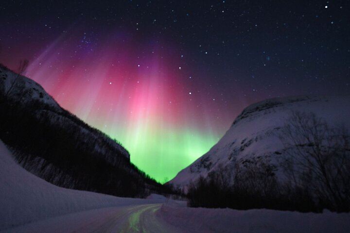 Adults Only Aurora Hunt from Tromso with Wandering Owl (5/6)