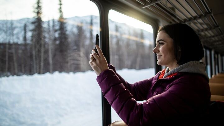 Alaska Railroad Aurora Winter Train, Fairbanks to Anchorage One Way (2/6)