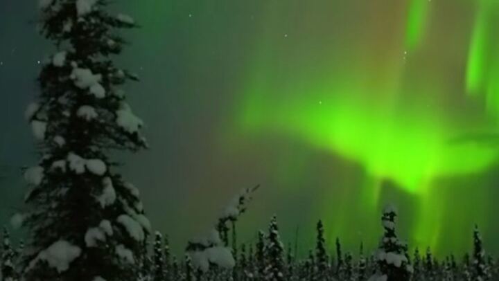 Fünf Tage Alaska im Winter: Paket inklusive Hundeschlittenfahrt und Benachrichtigungen bei Sichtung der Nordlichter (1/7)