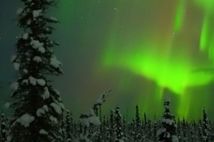 Fünf Tage Alaska im Winter: Paket inklusive Hundeschlittenfahrt und Benachrichtigungen bei Sichtung der Nordlichter (1/7)