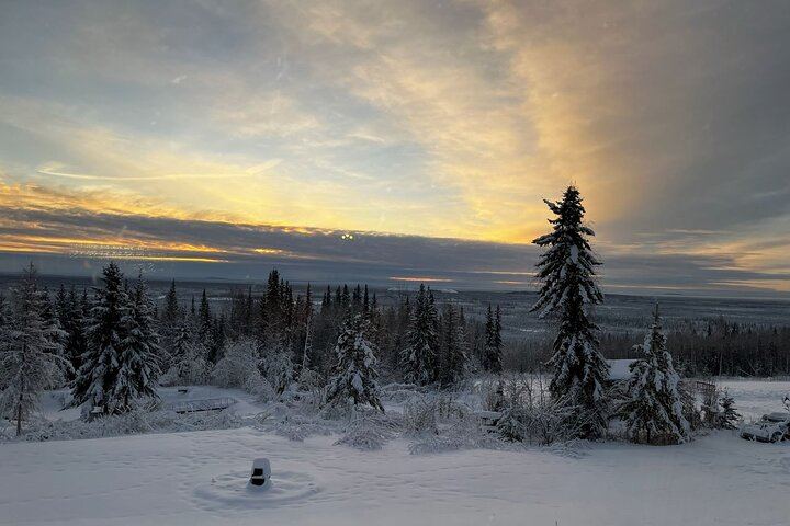 Fünf Tage Alaska im Winter: Paket inklusive Hundeschlittenfahrt und Benachrichtigungen bei Sichtung der Nordlichter (6/7)