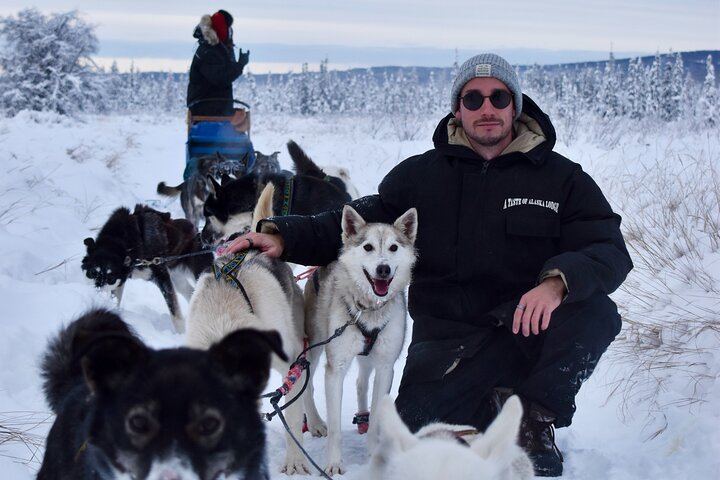Fünf Tage Alaska im Winter: Paket inklusive Hundeschlittenfahrt und Benachrichtigungen bei Sichtung der Nordlichter (4/7)