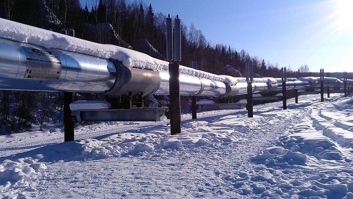 Fairbanks to the Arctic Circle Tour with Northern Lights, 12 to 14 Hours