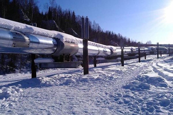 Fairbanks to the Arctic Circle Tour with Northern Lights, 12 to 14 Hours
