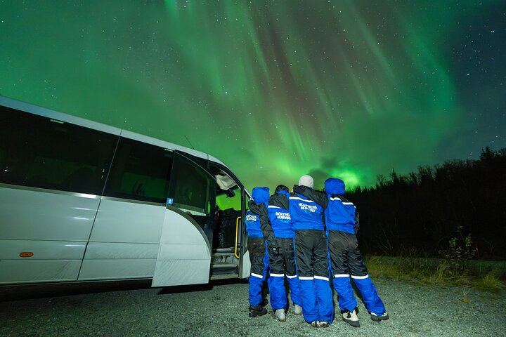 All Inclusive Aurora and Arctic Evening from Tromso with Campfire (6/12)