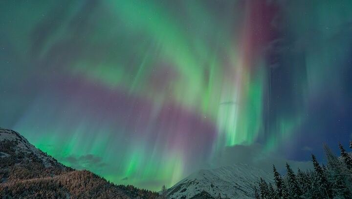 Anchorage Northern Lights Tour with Portraits and Photo Instruction (4/10)
