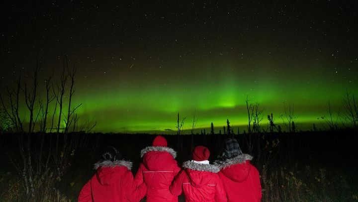 Anchorage Northern Lights Tour with Portraits and Photo Instruction (1/10)