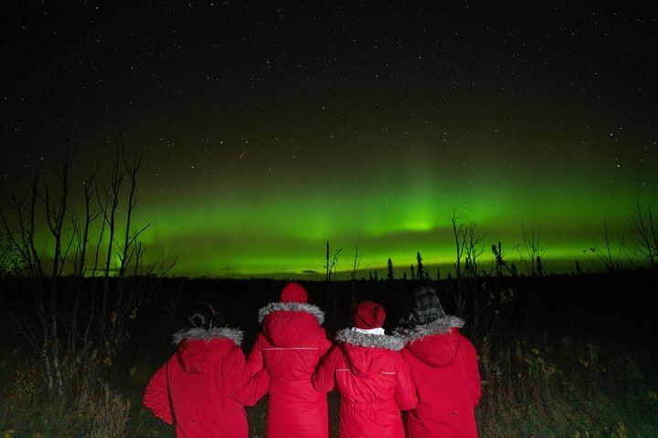 Anchorage Northern Lights Tour with Portraits and Photo Instruction (1/10)