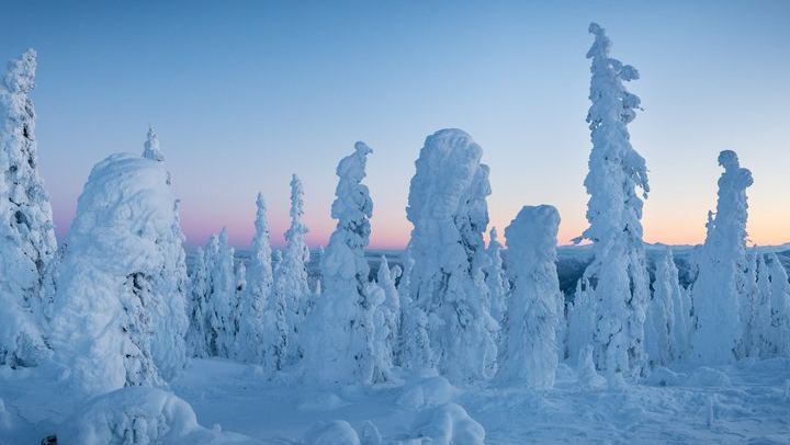 Dalton Highway Arctic Circle and Aurora Tour, Six Guests Maximum