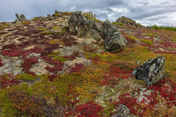Dalton Highway Arctic Circle and Aurora Tour, Six Guests Maximum (11/12)