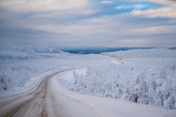Dalton Highway Arctic Circle and Aurora Tour, Six Guests Maximum (8/12)