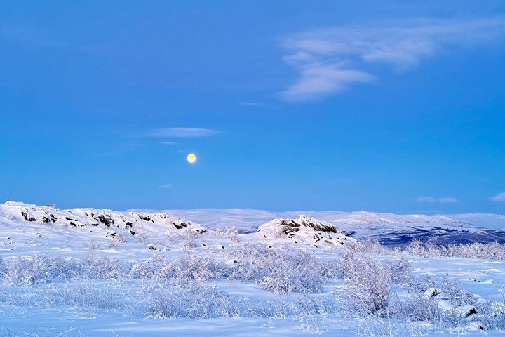 Dalton Highway Arctic Circle and Aurora Tour, Six Guests Maximum (12/12)