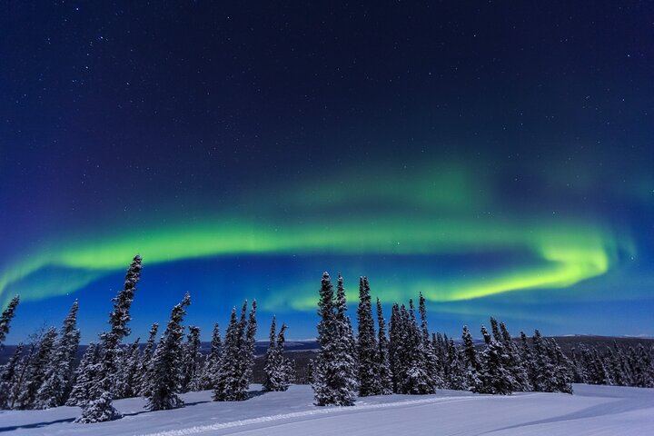 Dalton Highway Arctic Circle and Aurora Tour, Six Guests Maximum (2/12)