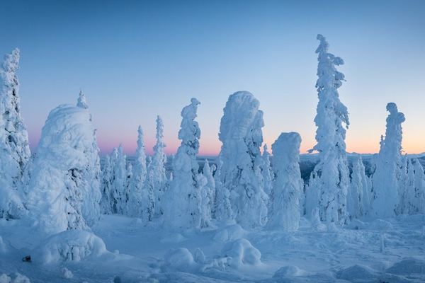 Dalton Highway Arctic Circle and Aurora Tour, Six Guests Maximum