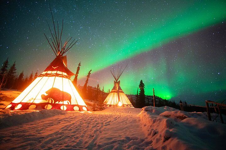Arctic Day: Late Night Aurora Viewing Tour from Whitehorse (1/12)