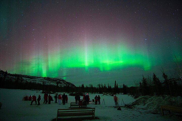 Arctic Day: Late Night Aurora Viewing Tour from Whitehorse (11/12)