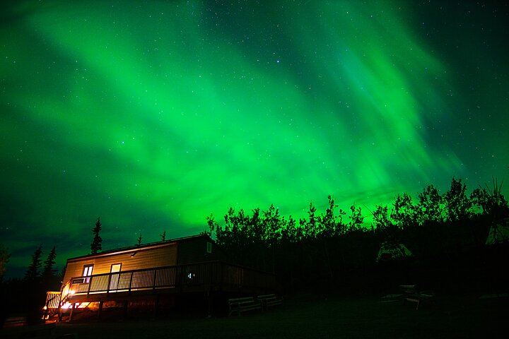 Arctic Day: Late Night Aurora Viewing Tour from Whitehorse (7/12)