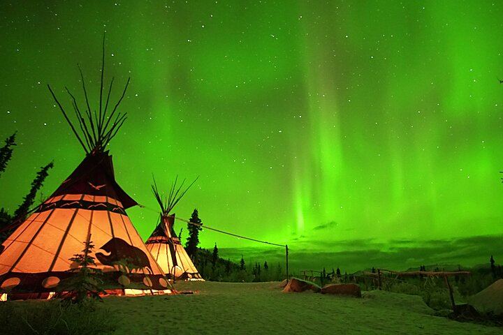 Arctic Day: Late Night Aurora Viewing Tour from Whitehorse (6/12)