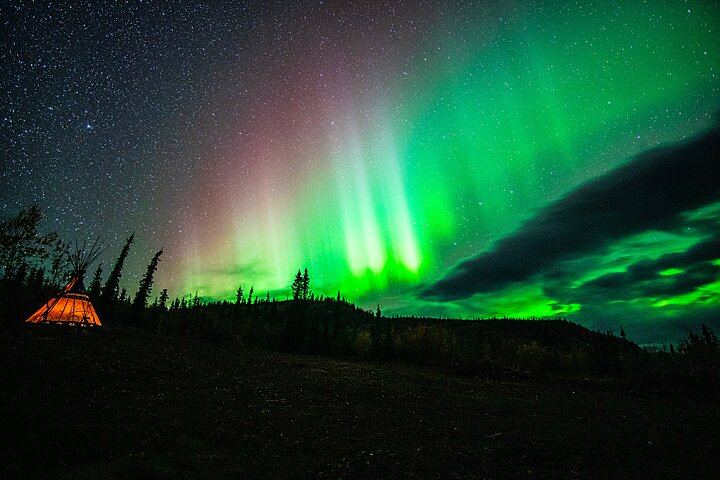 Arctic Day: Late Night Aurora Viewing Tour from Whitehorse (3/12)