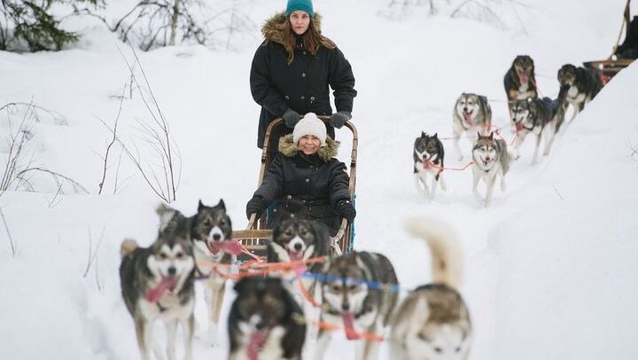 Rovaniemi Day and Night: Husky Ride, Reindeer Sleigh and Aurora BBQ (4/12)