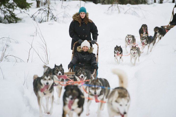 Rovaniemi Day and Night: Husky Ride, Reindeer Sleigh and Aurora BBQ (4/12)