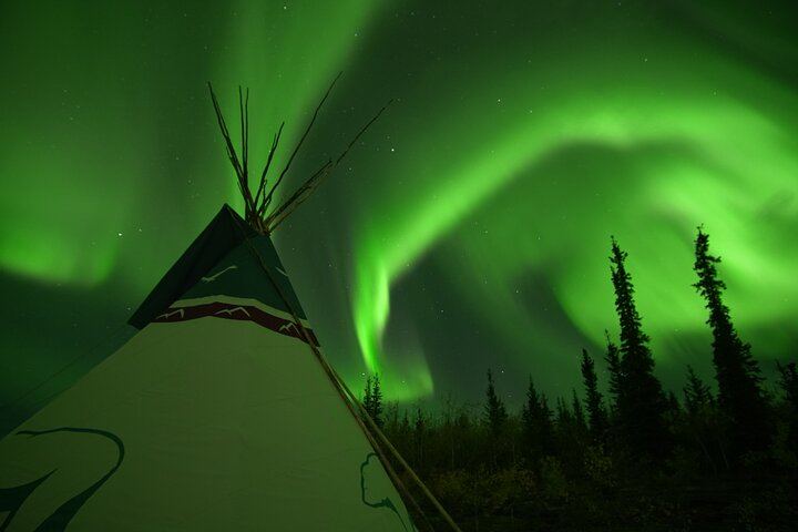 Arctic Day: Late Night Aurora Viewing Tour from Whitehorse (5/12)